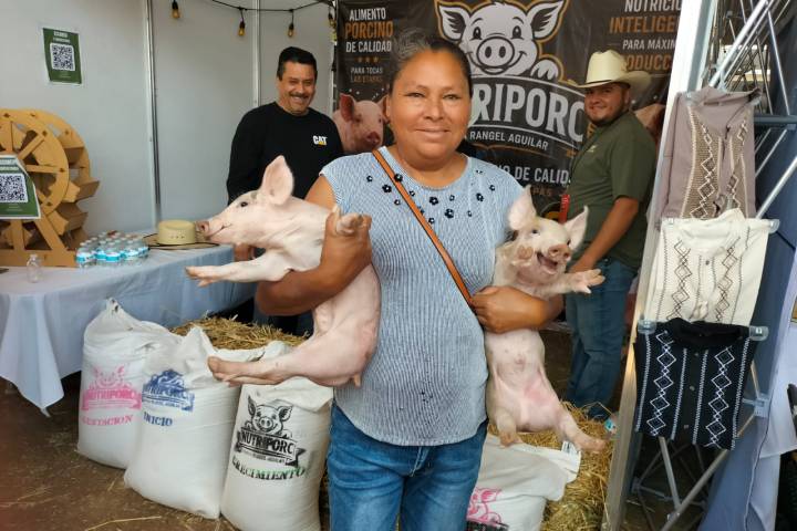 Gobierno de Morelia fomenta la producción porcina en la Agrotegan