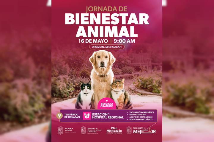 Gladyz Butanda invita a Jornada de Bienestar Animal en el teleférico de Uruapan