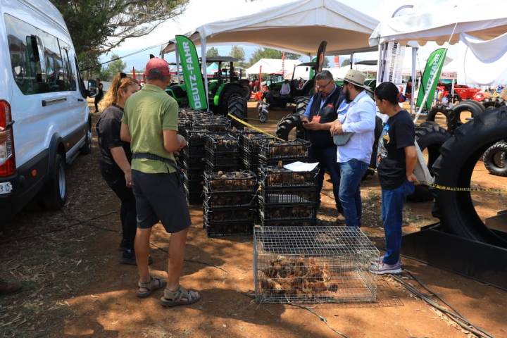 Familias y productores hacen de la Expo Agrotegan 2026 un éxito en Morelia