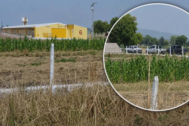 Encuentran a hombre asesinado en Tzintzimeo, Álvaro Obregón
