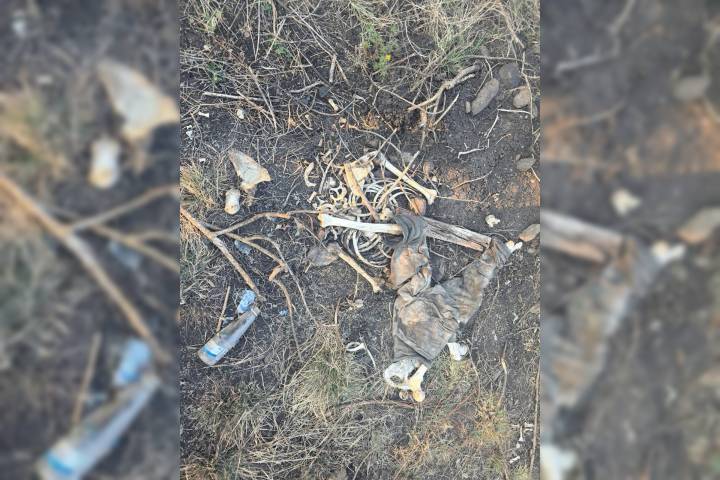 Colectivo localizan dos osamentas en zona cerril de Jacona