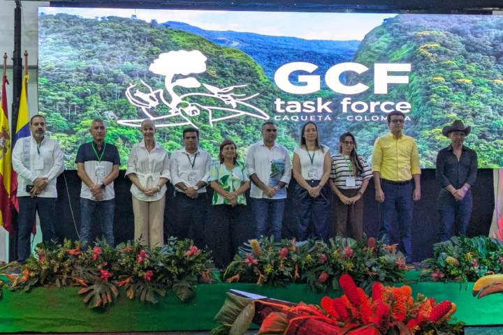 Michoacán se une a la élite mundial contra la deforestación