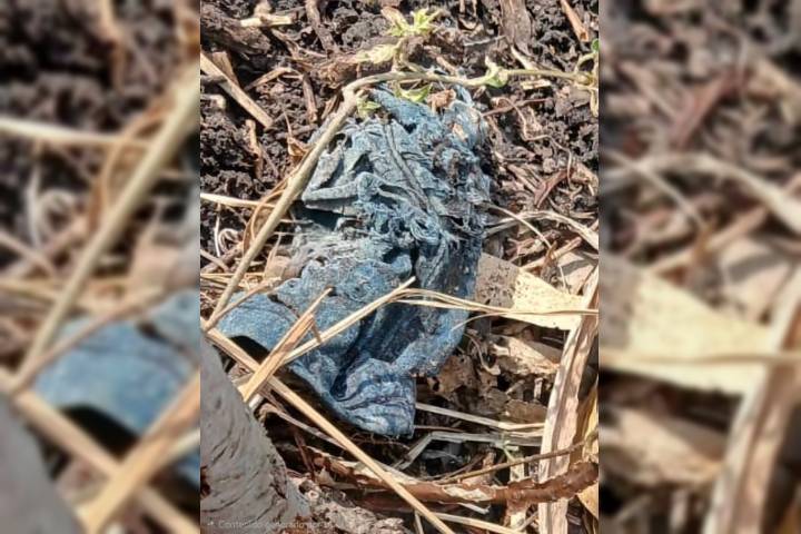 Localizan al menos 6 osamentas en predios de Jacona, durante los últimos días
