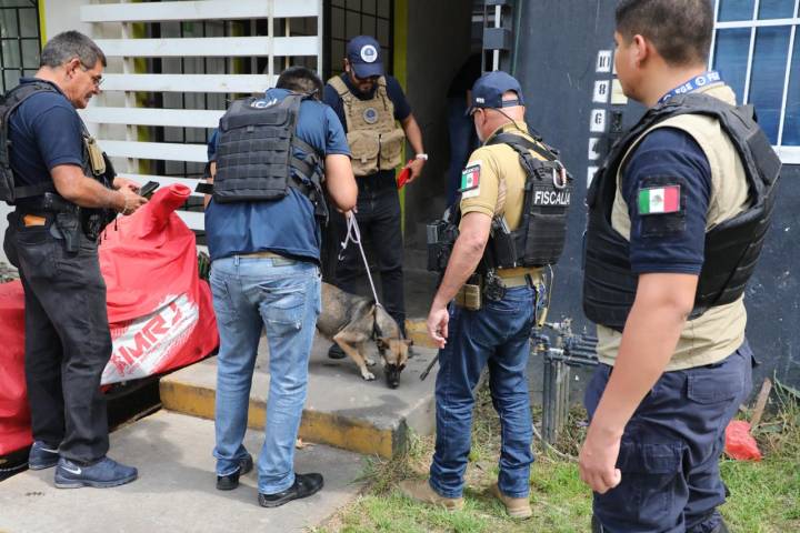 FGE rescata a cuatro perros víctimas de maltrato y abandono en Villas del Pedregal