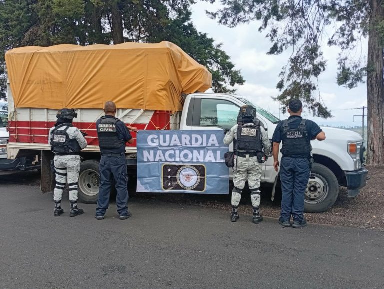 GC y GN recuperan camioneta robada y detienen a presunto responsable en la Villa Madero-Acuitzio del Canje