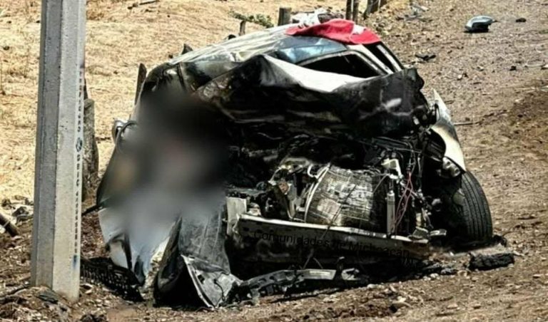 Empresaria Elia Camacho y otras dos personas mueren tras accidente en la Riva Palacio-Huetamo