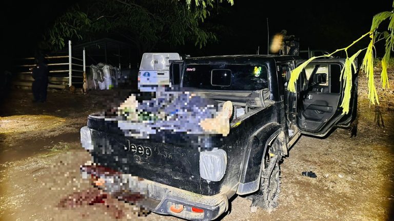 Hallan a cuatro hombres asesinados tras presunto enfrentamiento entre CJNG y Caballeros Templarios en Parácuaro