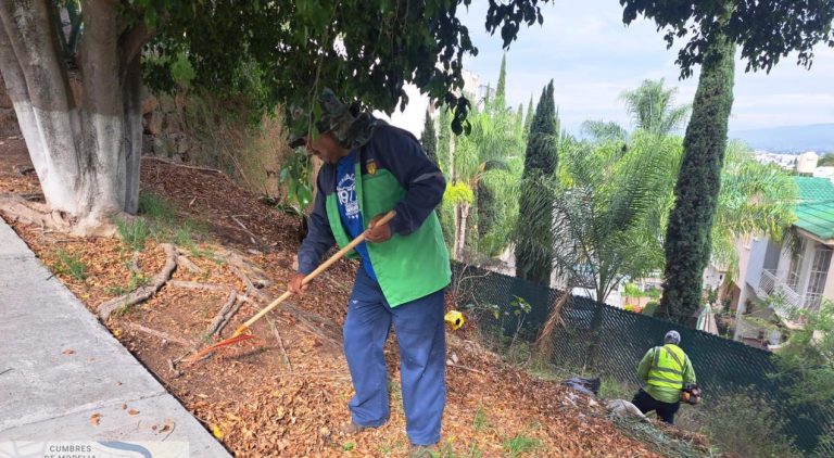 Gobierno de Morelia mantiene poda preventiva ante temporada de lluvias