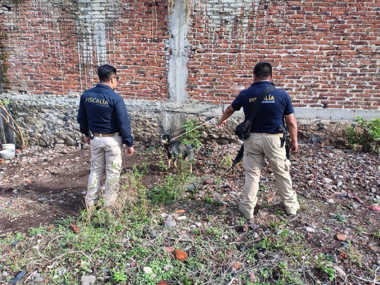 Rescata FGE a tres ejemplares caninos en situación de maltrato animal durante cateo en Jiquilpan